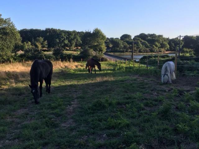 Les Fermes De Kercadoret Belz Zewnętrze zdjęcie